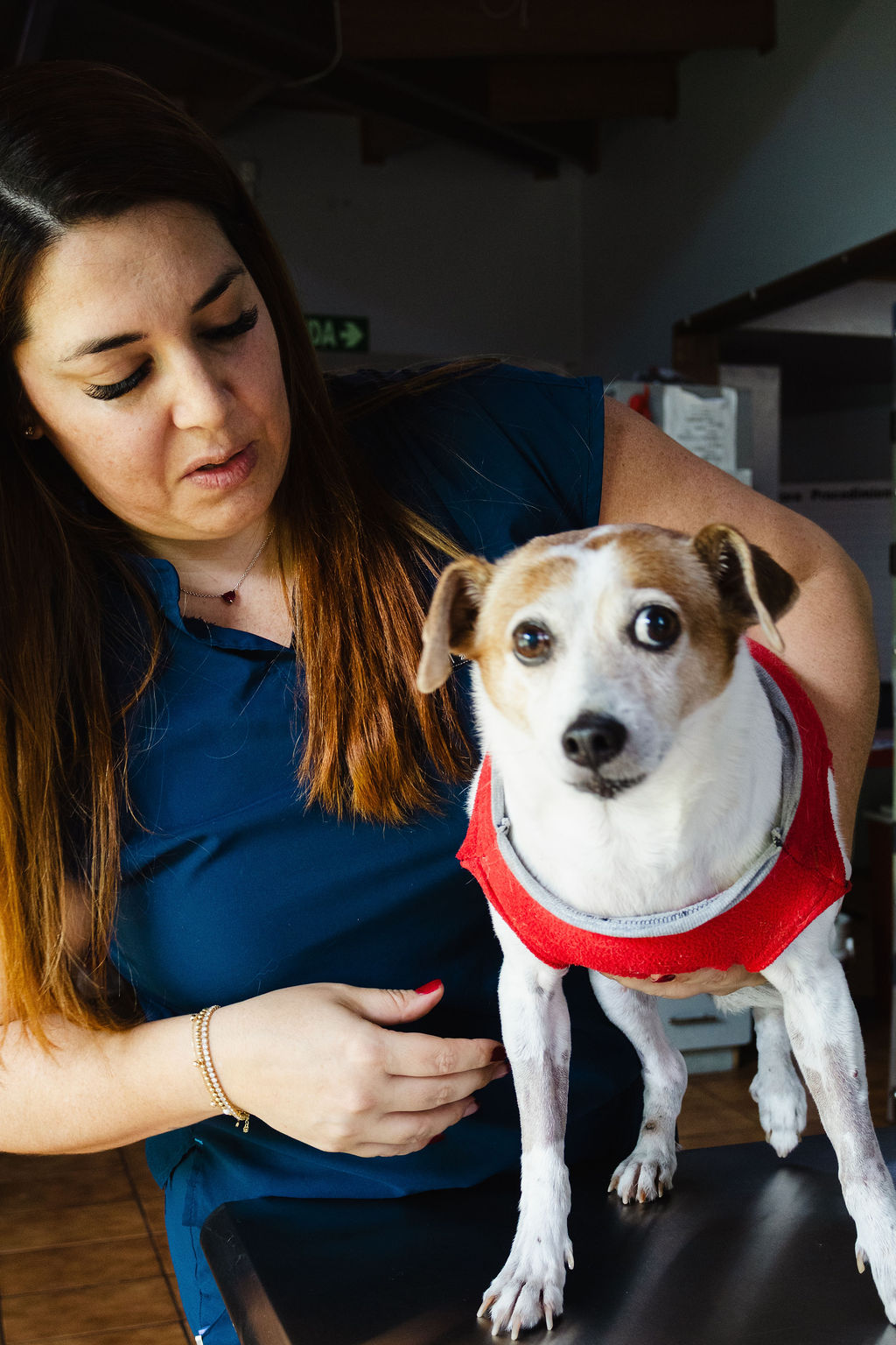 Cuidado de mascotas en Intensivet